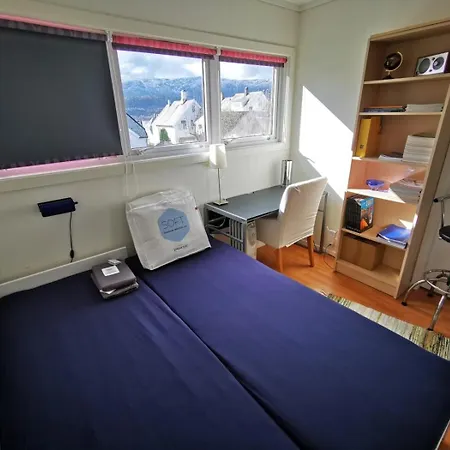 Private Room In Central Homestay Apartment With Ocean View Ålesund Exterior photo