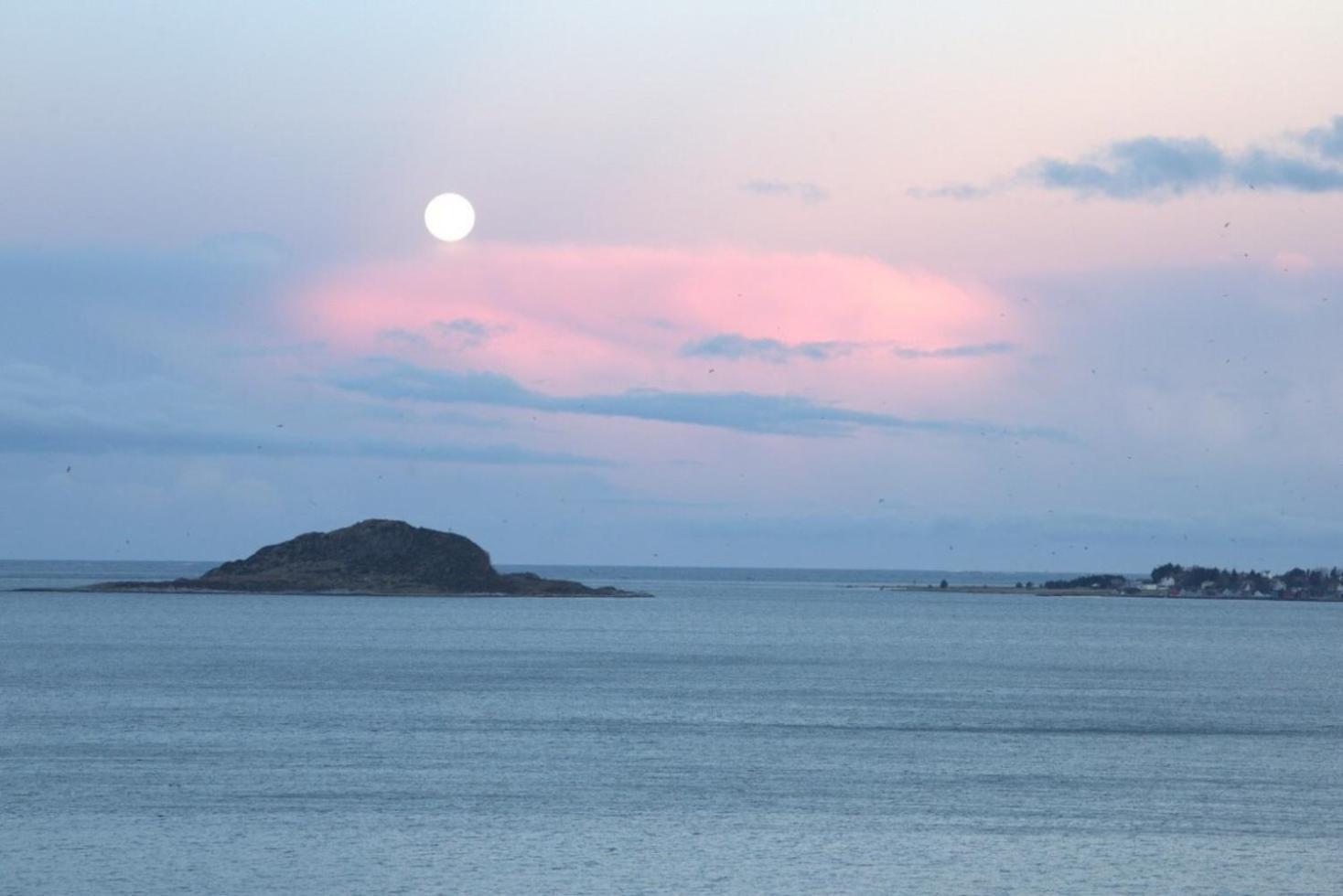 Private In With Ocean View Privat overnatting Ålesund