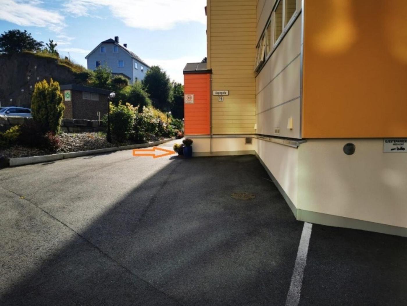 Private In With Ocean View Privat overnatting Ålesund